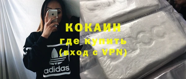ПСИЛОЦИБИНОВЫЕ ГРИБЫ Заводоуковск