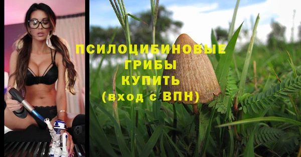 ПСИЛОЦИБИНОВЫЕ ГРИБЫ Заводоуковск