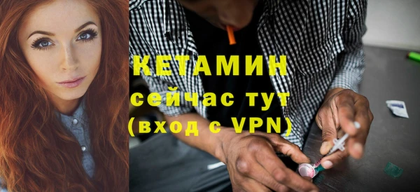 ПСИЛОЦИБИНОВЫЕ ГРИБЫ Заводоуковск