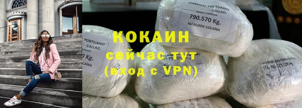 ПСИЛОЦИБИНОВЫЕ ГРИБЫ Заводоуковск