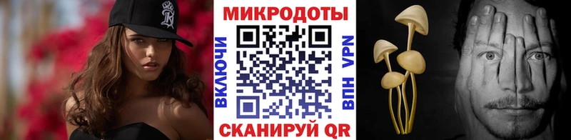 Псилоцибиновые грибы MAGIC MUSHROOMS маркетплейс какой сайт Светлогорск