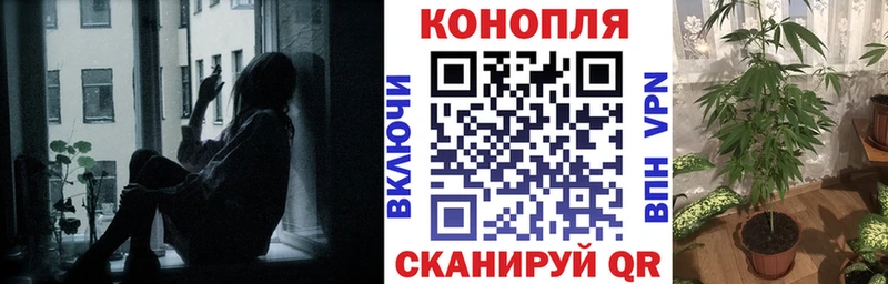 Канабис планчик  Светлогорск 
